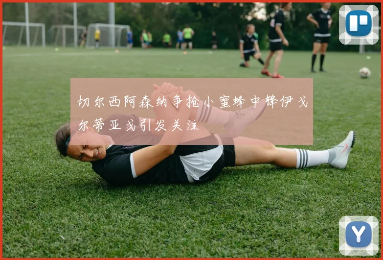 切尔西阿森纳争抢小蜜蜂中锋伊戈尔蒂亚戈引发关注