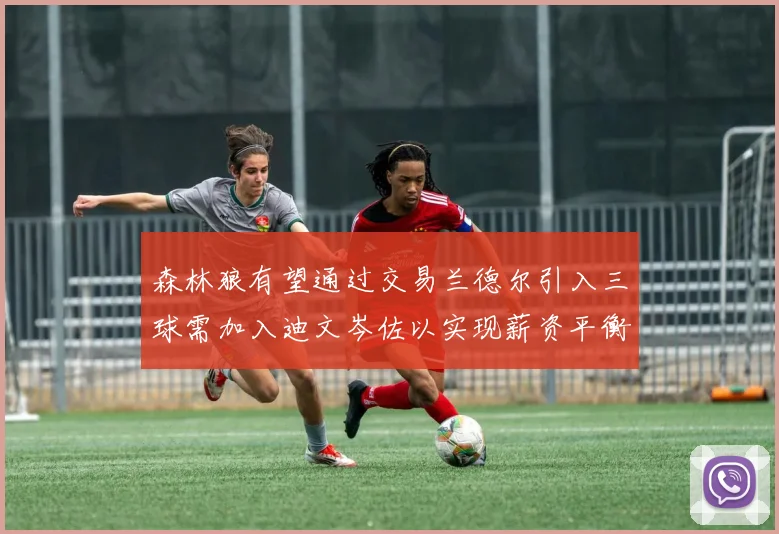 森林狼有望通过交易兰德尔引入三球需加入迪文岑佐以实现薪资平衡