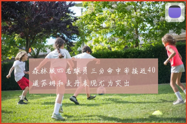 森林狼四名球员三分命中率接近40道苏姆和麦丹表现尤为突出